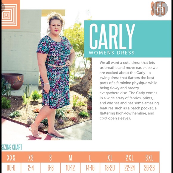 LuLaRoe Carly Dress - Picture 5 of 5